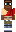 skin of a player