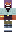 skin of a player