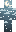 skin of a player
