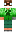skin of a player