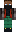skin of a player