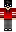 skin of a player