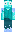 skin of a player