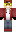 skin of a player