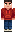 skin of a player