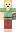 skin of a player