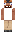 skin of a player