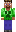 skin of a player