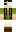 skin of a player