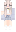 skin of a player