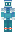 skin of a player