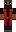 skin of a player