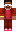 skin of a player