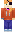 skin of a player