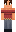 skin of a player