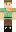 skin of a player
