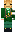 skin of a player
