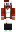 skin of a player
