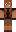 skin of a player