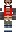 skin of a player