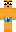 skin of a player