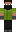 skin of a player