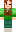 skin of a player