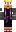 skin of a player
