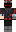 skin of a player