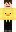 skin of a player
