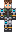 skin of a player