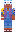skin of a player