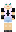 skin of a player