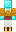 skin of a player