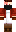 skin of a player