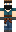 skin of a player