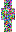 skin of a player
