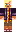 skin of a player