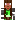 skin of a player