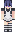 skin of a player