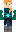 skin of a player