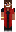 skin of a player