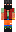 skin of a player