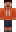 skin of a player
