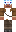 skin of a player