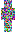 skin of a player