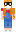 skin of a player