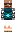 skin of a player