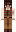 skin of a player
