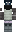 skin of a player